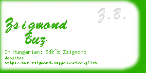 zsigmond buz business card